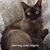 Terri Gradine's profile image