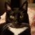 Jane Stevens's profile image