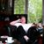 Detlef Breth's profile image