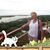 Joyce JJ Walker Wiebbecke's profile image