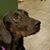 Clair Erickson's profile image