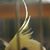 Tripper DeDude's profile image