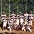 Wolfpack Baseball-Club's profile image