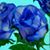 Lynn Ag Davidson's profile image