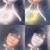 Connie Mora's profile image