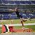 Teri Blevins DiPerna's profile image