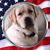 Jennifer J. Ison's profile image