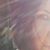 Lawanna Monaco-Uhlik's profile image