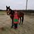 Kathey Scaduto's profile image