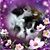 Penny Cowan Wallin's profile image