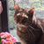 Joyce Gerhold's profile image