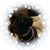 Sandy Irvine's profile image