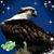 Hope Mayer's profile image