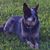 Valerie French's profile image