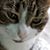 David Clouser's profile image