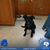 Valerie Burgdorf's profile image