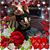 Carol Lynch's profile image