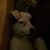 Lisa Miller Gaines's profile image
