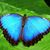 Diane Berrini Puchalski's profile image
