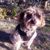 Luellen Wagner's profile image