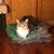 Suzanne Lomas's profile image