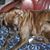 Susan Kay Cain-wagner's profile image