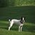 Michele Hurd's profile image