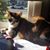 Susan Clay's profile image