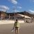 Sharon Dothan's profile image