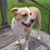 Terrie C. Williams's profile image