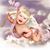 Dana Clapp's profile image