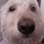 Linda Hoehn's profile image