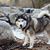 Terri Shoemaker's profile image