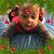 Kimberly Keener Steele's profile image