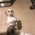Fanny de la Cruz's profile image