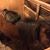 Sherrie Wilbur McIntosh's profile image