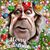 Brandon Evans's profile image