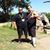 Nicolas Garcia's profile image