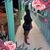 Alicia Robinson's profile image