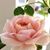 Arline Vandewater's profile image
