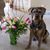 Marilynn McDonough Wood's profile image