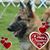Deborah Kay Wade's profile image