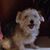 Alma Schlesinger's profile image