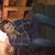 Diane West Smith's profile image