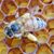 Terrie Chapman Mccraney's profile image