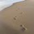 Quintina Leach's profile image