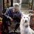 Ksawery Jankowski's profile image