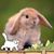 AnnMarie MacKenzie's profile image