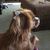 Laurie Pepin Kimmell's profile image