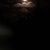 Stephanie Adkins's profile image